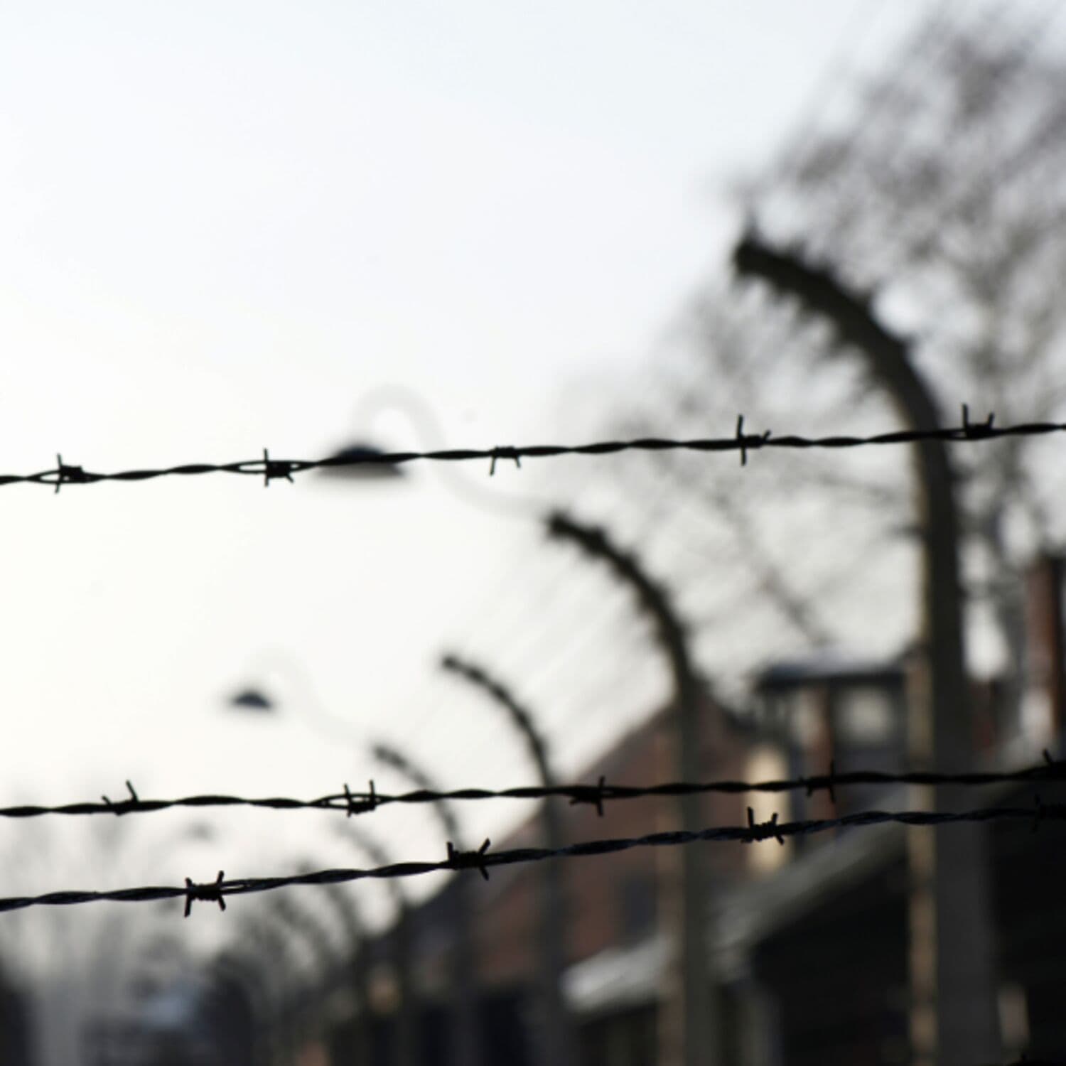 Međunarodni dan sjećanja na holokaust